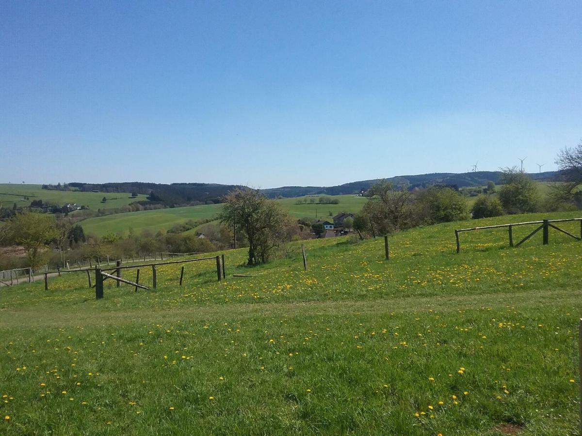 Zur Schoenen Aussicht Hellenthal Exteriör bild
